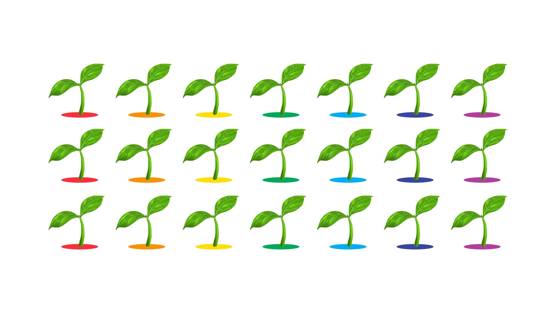 rainbow leaves